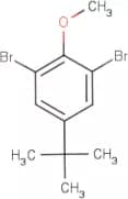2,6-Dibromo-4-tert-butylanisole