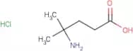 4-amino-4-methylpentanoic acid hydrochloride