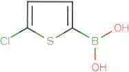 5-Chlorothiophene-2-boronic acid