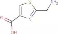 2-(Aminomethyl)-1,3-thiazole-4-carboxylic acid