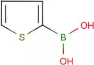 Thiophene-2-boronic acid