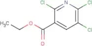 Ethyl 2,5,6-trichloronicotinate