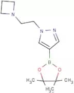 1-[2-(Azetidin-1-yl)ethyl]-4-(tetramethyl-1,3,2-dioxaborolan-2-yl)-1H-pyrazole