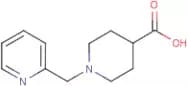 1-(Pyridin-2-ylmethyl)piperidine-4-carboxylic acid