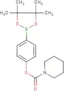 4-[(Piperidin-1-ylcarbonyl)oxy]benzeneboronic acid, pinacol ester