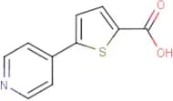 5-(Pyridin-4-yl)thiophene-2-carboxylic acid