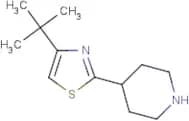 4-[(4-tert-Butyl)-1,3-thiazol-2-yl]piperidine