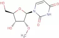 2'-O-Methyluridine