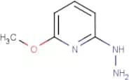 2-Hydrazino-6-methoxypyridine