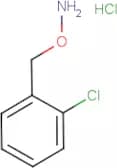 O-(2-Chlorobenzyl)hydroxylamine hydrochloride