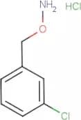 O-(3-Chlorobenzyl)hydroxylamine hydrochloride