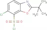 2-(tert-Butyl)-6-chloro-1,3-benzoxazole-7-sulphonyl chloride