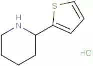 2-(2-Thienyl)piperidine hydrochloride