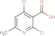 2,4-Dichloro-6-methylnicotinic acid
