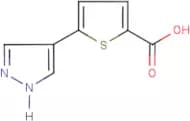 5-(1H-Pyrazol-4-yl)thiophene-2-carboxylic acid