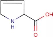 2,5-Dihydro-1H-pyrrole-2-carboxylic acid