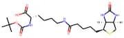 N-t-BOC-biocytin