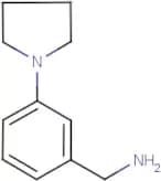 [3-(Pyrrolidin-1-yl)phenyl]methylamine