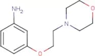 3-(2-Morpholin-4-ylethoxy)aniline