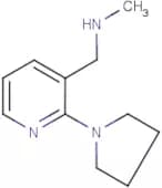 N-Methyl-1-[2-(pyrrolidin-1-yl)pyridin-3-yl]methylamine