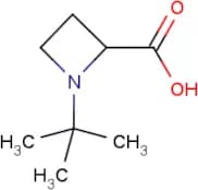 1-(tert-Butyl)azetidine-2-carboxylic acid