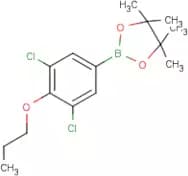 2-(3,5-Dichloro-4-propoxyphenyl)-4,4,5,5-tetramethyl-1,3,2-dioxaborolane