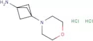 3-Morpholin-4-ylbicyclo[1.1.1]pentan-1-amine dihydrochloride