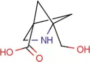4-(hydroxymethyl)-2-azabicyclo[2.1.1]hexane-1-carboxylic acid