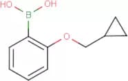 2-(Cyclopropylmethoxy)benzeneboronic acid