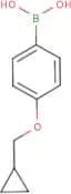 4-(Cyclopropylmethoxy)benzeneboronic acid