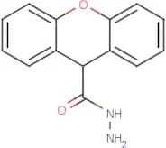 9H-Xanthene-9-carbohydrazide