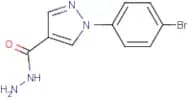 1-(4-Bromophenyl)-5-methyl-1H-pyrazole-4-carbohydrazide