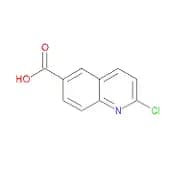 2-Chloroquinoline-6-carboxylic acid