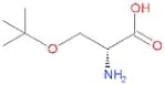H-D-Ser(tBu)-OH