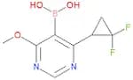 [4-(2,2-Difluorocyclopropyl)-6-methoxypyrimidin-5-yl]boronic acid