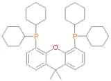 4,5-Bis(dicyclohexylphosphino)-9,9-dimethylxanthene