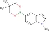 1-Methyl-1H-indole-5-boronic acid, neopentyl glycol ester