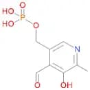 Pyridoxal 5'-phosphate