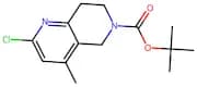 tert-Butyl 2-chloro-4-methyl-7,8-dihydro-1,6-naphthyridine-6(5H)-carboxylate