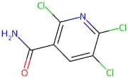 2,5,6-Trichloronicotinamide