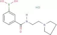 3-[(2-Pyrrolidin-1-ylethyl)carbamoyl]benzeneboronic acid hydrochloride