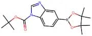 tert-Butyl 5-(4,4,5,5-tetramethyl-1,3,2-dioxaborolan-2-yl)-1H-benzimidazole-1-carboxylate