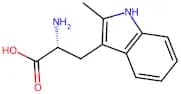 (R)-2-Amino-3-(2-methyl-1H-indol-3-yl)propanoic acid