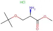 (R)-Methyl 2-amino-3-(tert-butoxy)propanoate hydrochloride