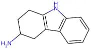 2,3,4,9-Tetrahydro-1H-carbazol-3-amine