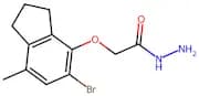 2-[(5-Bromo-7-methyl-2,3-dihydro-1H-inden-4-yl)oxy] acetohydrazide