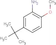 5-(tert-Butyl)-2-methoxyaniline