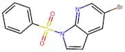 1-(Benzenesulfonyl)-5-bromo-1H-pyrrolo[2,3-b]pyridine