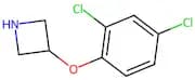 3-(2,4-Dichlorophenoxy)azetidine