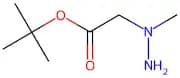 tert-Butyl 2-(1-methylhydrazinyl)acetate
